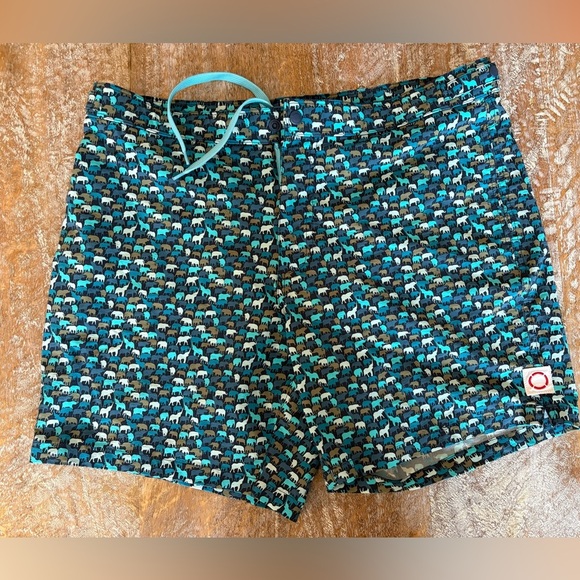 Public Beach Men’s Swim Shorts size large - Picture 1 of 7